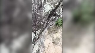 Real and Risky Outdoor Nude Sex Adventure