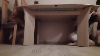 When my stepmother and I were drinking tea and chatting, my girlfriend was licking my under the table - lesbian_illusion