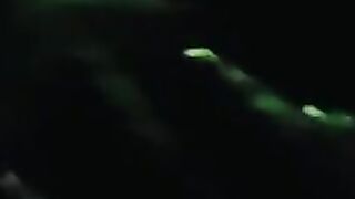 Unexpected Encounter: A Night at the Movies Turns Wild!