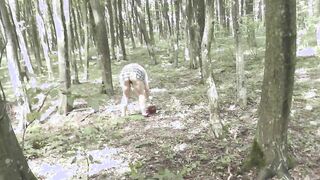 Charming Milf's Adventurous Mushroom Hunt in the Forest