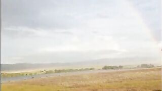 Sensual Blowjob in Public with double rainbow in background!