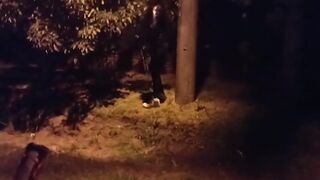 Steamy Backyard Encounter: A Secret Affair Unfolds After the Neighborhood Party