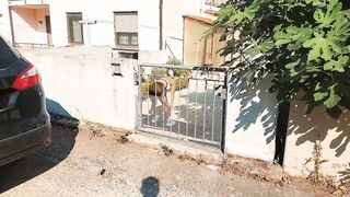 My Attractive Neighbor: A Tempting Encounter Awaits!