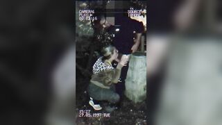 Steamy Public Encounter: MILF Gives a Wild Blowjob in the Streets, Caught by the Police!