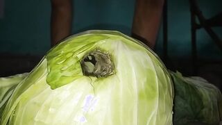 Pakinoon’s Playful Cabbage Adventure: A Solo Exploration of Pleasure