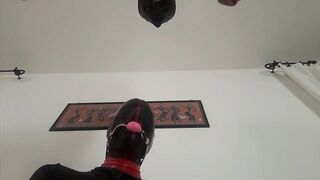 40 minutes compilation of blowjob, deepthroat, creampie with down view