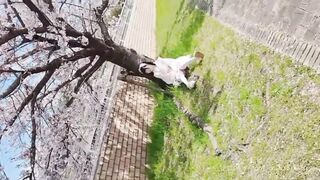 ????I met a girl in a Japanese-Lo-costume under a cherry tree and had sex with various positions.