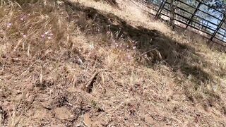 Stranded Woman's Unexpected Adventure: A Wild Outdoor Encounter