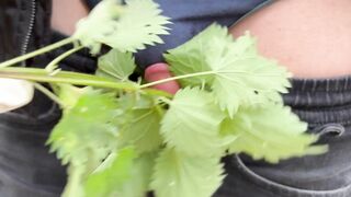 Exploring Unique Sensations: The Intriguing World of Nettle Play