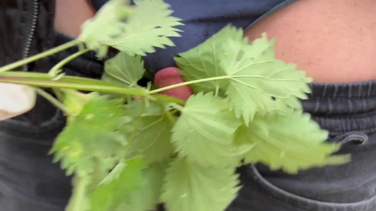Exploring Unique Sensations: The Intriguing World of Nettle Play