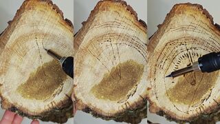 Log burning 2
