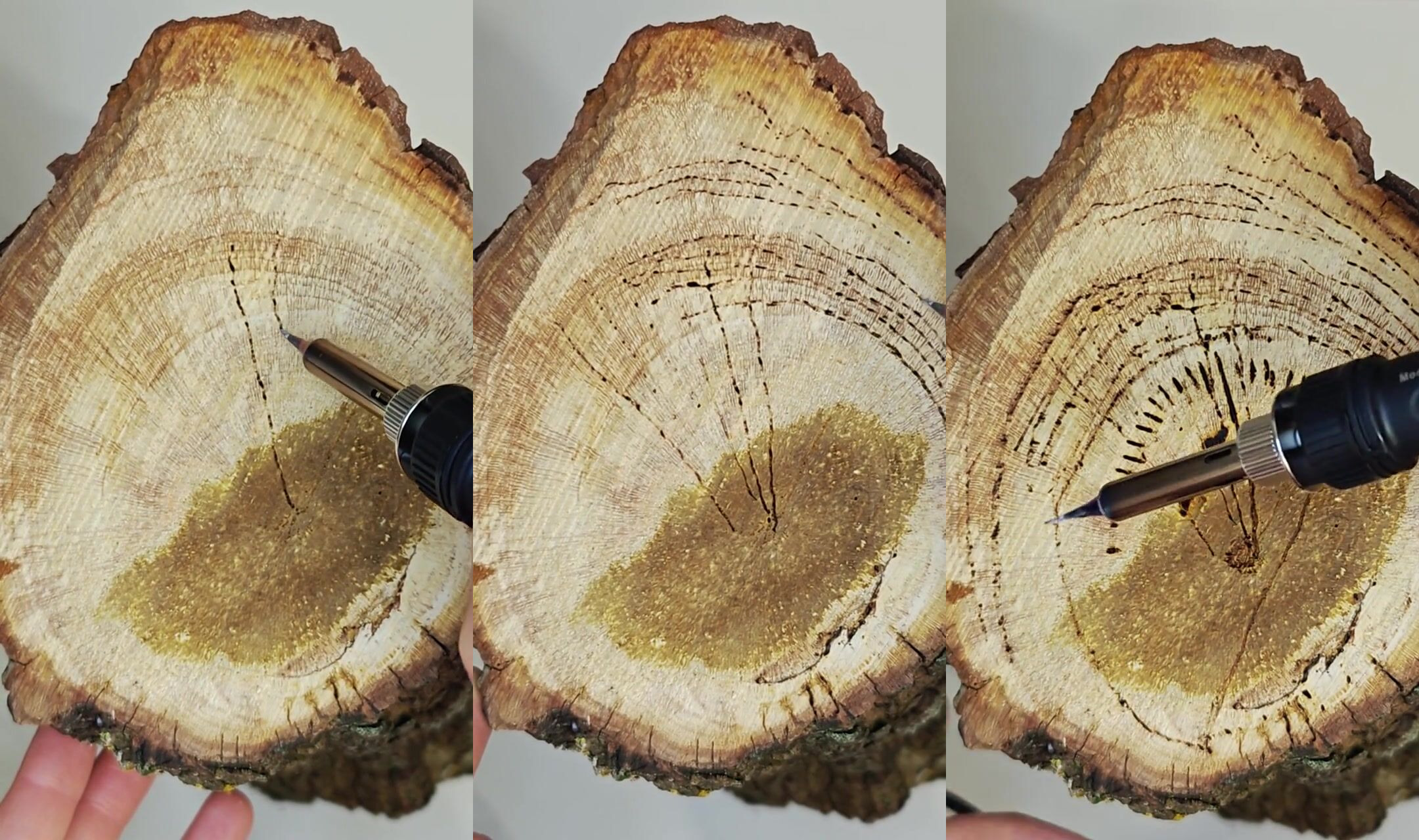 Log burning 2