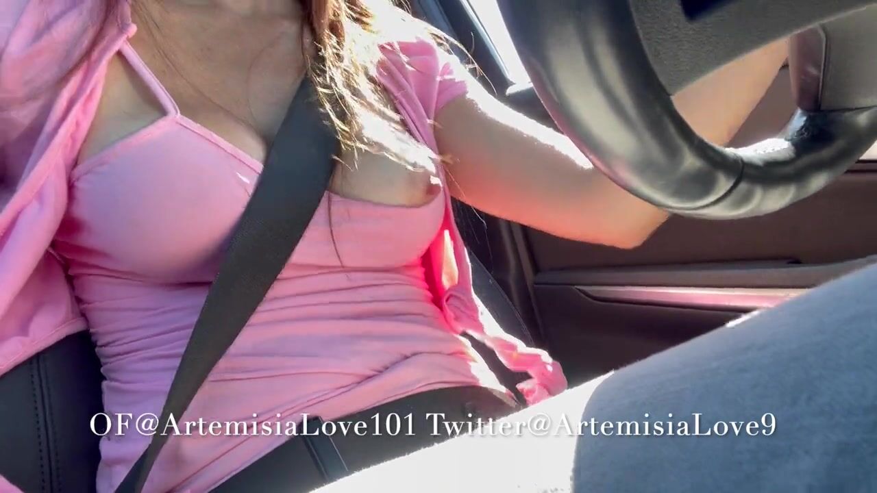 Adventure with Artemisia Love: A Scenic Drive and Stroll