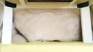 Unexpected Desk Delights: A Japanese Amateur's Intimate Moment