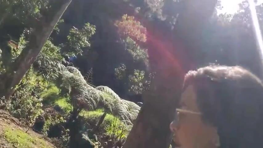 Stranger invites me to smoke in ARVI park and I end up myself in the nature of Medellín