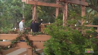 Unexpected Passion at the Amusement Park: A Thrilling Outdoor Encounter