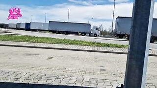 Unexpected Encounter: A Wild Adventure in a Parking Lot