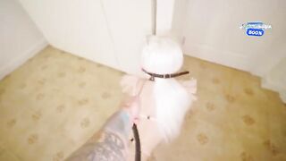 Playful Kitten Learns Her Lesson with a Big Surprise - Featuring Karneli Bandi