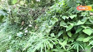 Unexpected Adventure: A Wild Second Date in the Jungle - POV Experience with ImMayBee!