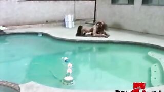 Misty Rain and Felecia's Sensational Outdoor Striptease Adventure