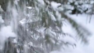 Steamy Outdoor Encounter: Intense Anal Adventure with Hazel Dew