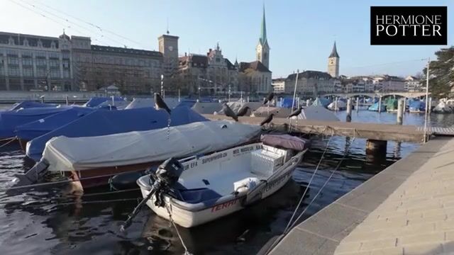 Exploring the Beauty of SWITZERLAND with Our Enchanting Companion - Exciting Giveaway Inside! VLOG Featuring Hermione__Potter.
