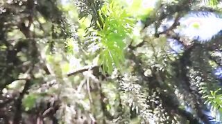 Nicoletta's Wild Outdoor Adventure: A Surprising Upskirt Moment in the Park!