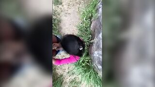 Adventurous Outdoor Encounter in the Park with a Daring Outfit - Tani Girl's Thrilling Experience!