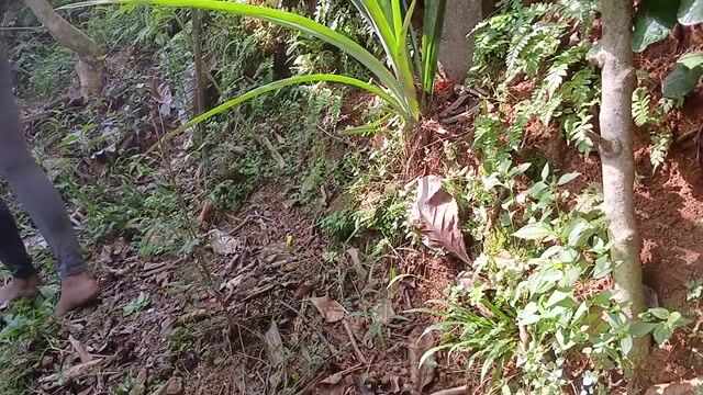 Outdoor Adventures: Exploring Fun with My Partner - JHONKING85 & SadunikaX