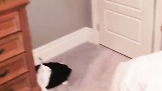Shy Wifey to Hotwife – My Husband Lets His Friend Wreck Me **full sound on onlyfans see my bio**