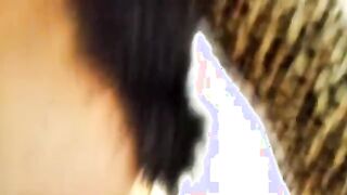Bald bearded daddy with addiction and skill fucks his mature cougar from behind ))